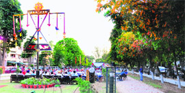 The newly inaugurated park at Sector-44 B in Chandigarh on Friday. 