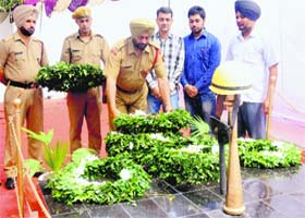 Officials of the Fire Department pay tributes at Sector 17, Chandigarh, on Sunday