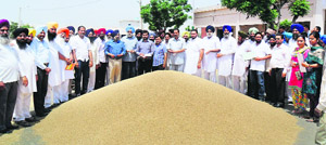Officials of various agencies and the market committee during the inauguration of wheat procurement at the grain market in Amloh.