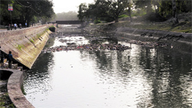 The water level in the Sirhind Canal has declined as it has been closed for more than two weeks.