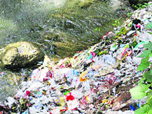 Sewage collects in the Bhiral khud at Palampur. The water of the khud is used for drinking in lower areas of Palampur. 