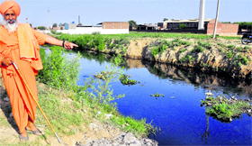Environmentalist Balbir Singh Seechewal makes a surprise visit to the Kala Sanghian drain in Jalandhar on Tuesday.