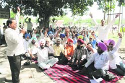 The employees of the Punjab State Power Corporation Limited went on strike on Wednesday and held a dharna ouside the main gate of the Guru Nanak Dev Thermal Plant in Bathinda. Tribune photo: Pawan Sharma