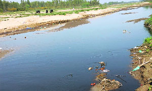 The polluted Markanda river.