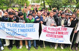 Up in arms: Members of the Jammu and Kashmir Floriculture Employees and Workers Association stage a protest against the state government in support of their pending demands in Srinagar on Wednesday