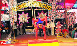 The circus, with its staff strength of 200, is all set to entertain the people of Bathinda