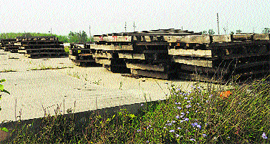 The timber market at Manakpur village in Jagadhri continues to lie in disuse.