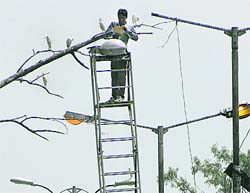 A worker repairs a streetlight in Jalandhar. Photo: Sarabjit Singh