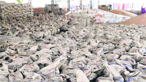 Wheat bags lie in the grain market of Khanna on Thursday.