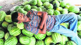 Taking a break: A seller rests on watermelons in Amritsar on Saturday