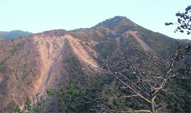 Debris at the hillside on the Parwanoo-Gadhiyar road.