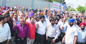 Chemists stage a protest against the police at Bharat Nagar Chowk in Ludhiana on Saturday