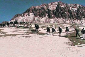 Troops move along the China border
