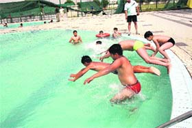 Beating the heat: With the onset of the summer, youngsters beat the heat in the Zymkhana Club swimming pool in Rohtak on Sunday