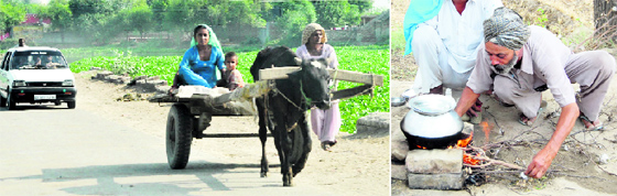 A family makes its way home on a bullock cart on the outskirts of Bathinda; a worker lights up a stove (chulha) made with the help of bricks and twigs to rustle up a meal.