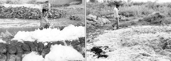 A boy plays in water polluted by effluents from factories; and (right) a boy covers his nose as he walks along the Ghaggar river at Dera Bassi. 