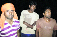 Three members of a gang of timber thieves who were detained by officials of the Punjab Forest Department for allegedly chopping two sheesham trees from governent land and stealing timber in Maqsudan on Sunday night.