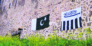 Flags of Pakistan and LeT pinned on a fort in Srinagar on Monday. 