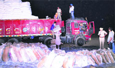 Police personnel seize bags of poppy husk in Bathinda on Monday.