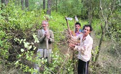 Villagers clear lantana from the forest. A Tribune photograph 