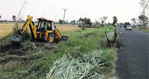 A JCB machine removing wild growth along the Muktsar-Bathinda road in Muktsar district on Wednesday. 