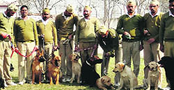 Jails Dept told to press into service dogs of other depts 