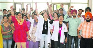 Doctors and paramedics of PIMS raise slogans in Jalandhar on Thursday.
