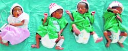 The quadruplets at the DMCH in Ludhiana. A Tribune photograph