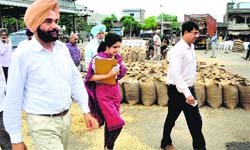 Divisional Commissioner, Patiala, Ajit Singh Pannu (left) inspects wheat procurement at the Salem Tabri grain market in Ludhiana on Thursday. Tribune Photo: Himanshu Mahajan
