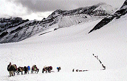 ITBP men trek on a snow-clad mountain to reach their post in Ladakh
