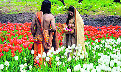 Actors shoot for Mahabharata teleserial at Tulip Garden on the banks of the Dal Lake in Srinagar