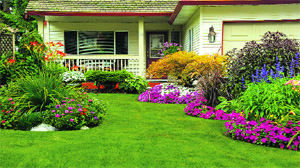 Balance the Yin and Yang of your garden to surround your home with positive chi