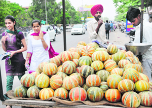 With mercury heading North, vendors selling watermelons have become a common sight in Bathinda.