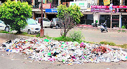 Garbage is placed right outside the Nehru Shopping Complex in Amritsar
