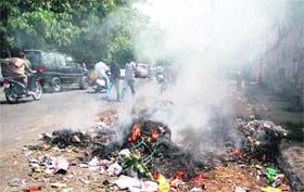 Eco hazard: Dry leaves and garbage being burnt outside the DC office in Jalandhar, causing pollution in the area