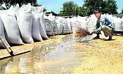 A man clears water post rains at the New Grain Market in Jalandhar