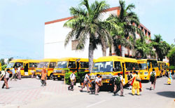  Buses parked on the premises of Hansraj Public School in Sector 6.
