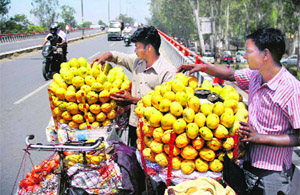 With the onset of summer, mangoes have started arriving in markets at Jalandhar.