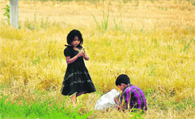 Children collect wheat ear from a field on the outskirts of Ludhiana.