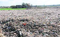 A view of the site where the Municipal Corporation dumps the solid waste in Bathinda. 