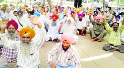 Members of the Military Engineering Services stage a rally outside the gate of the Bathinda Cantonment on Wednesday.