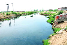 Untreated hazardous waste water being discharged into the Kala Sanghian drain by tanneries at the Leather Complex in Jalandhar on Wednesday.