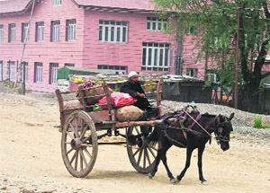 A man rides a horse-drawn wagon on the outskirts of Srinagar on Wednesday.