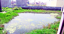 Stagnant water inside Bhai Himmat Singh Satellite Hospital