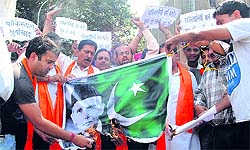Activists burn an effigy of Pakistan to protest Sarabjit's death at a Lahore hospital, in Amritsar on Friday