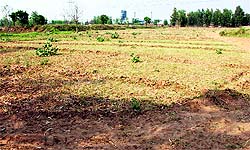 he land owned by Vijay Singla at Saidpur village in Dera Bassi