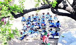 A government school teacher teaches students in the shade of a tree