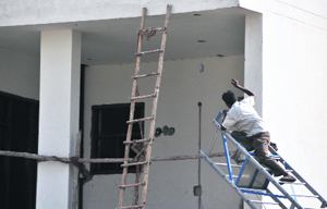 A Forest Department employee looks for a leopard that had strayed into a residential area in Ludhiana.