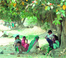  Labourers and their children take shade under a tree in a border village near Amritsar on a hot Tuesday afternoon. 