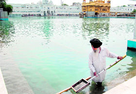 An SGPC employee cleans the sarover at the Golden Temple in Amritsar on Monday.